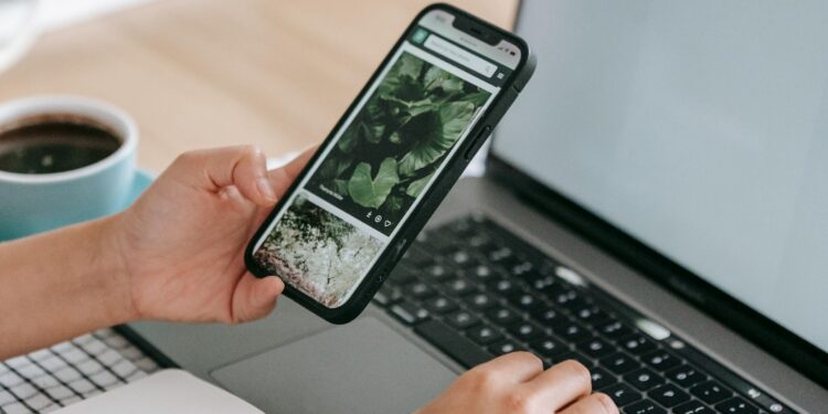 Foto: Teona Swift/Pexels