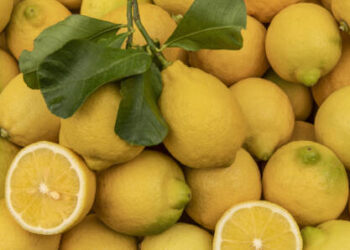 Fruta mais saudável do mundo é rica em vitaminas, promove a saúde da pele e também ajuda na perda de peso