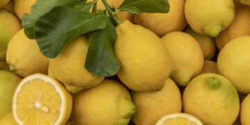 Fruta mais saudável do mundo é rica em vitaminas, promove a saúde da pele e também ajuda na perda de peso