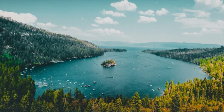 Foto: Fabian Quintero/Unsplash