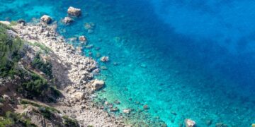 Foto: David Vives/Unsplash