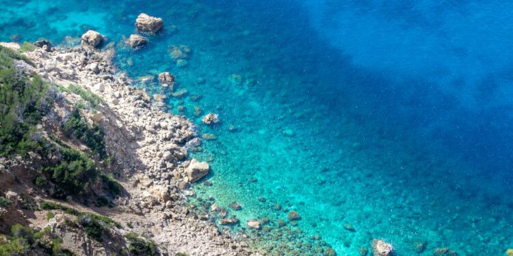 Foto: David Vives/Unsplash