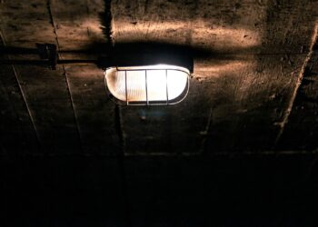 Foto: Leon Seibert/Unsplash