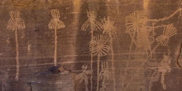 Arábia Saudita revela esculturas rupestres de 12.000 anos com detalhes surpreendentes