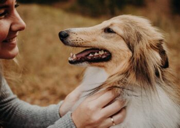 O efeito surpreendente de falar com seu cachorro como se fosse um bebê