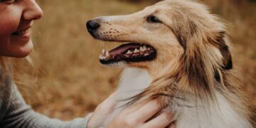 O efeito surpreendente de falar com seu cachorro como se fosse um bebê