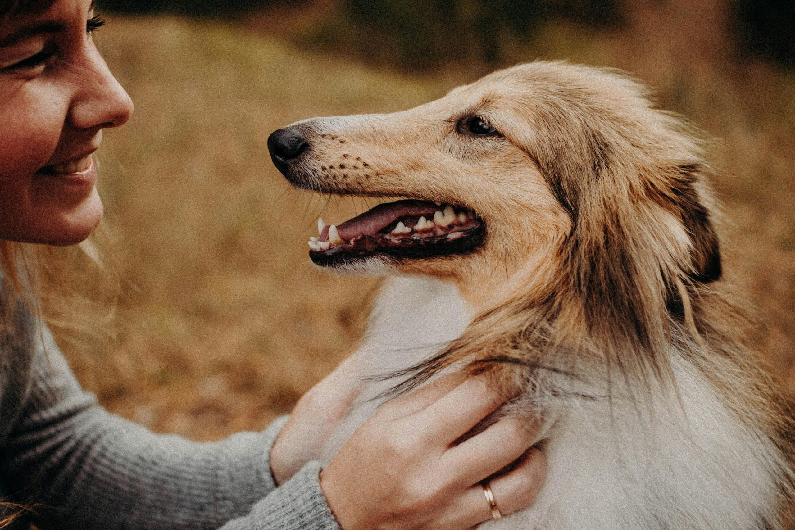 O efeito surpreendente de falar com seu cachorro como se fosse um bebê