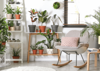 Esse pequeno objeto passa desapercebido na casa, mas está sugando toda a sua sorte