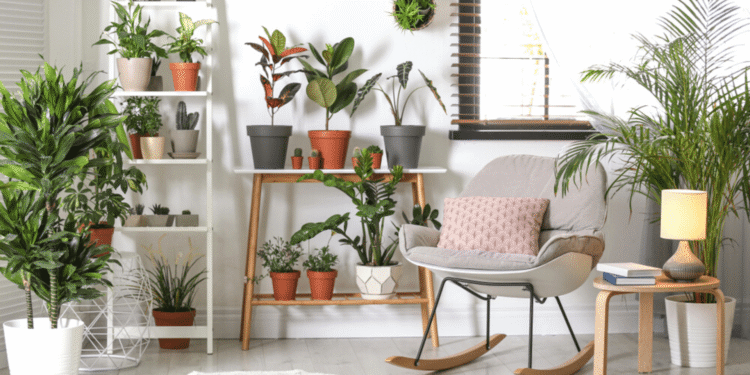 Esse pequeno objeto passa desapercebido na casa, mas está sugando toda a sua sorte