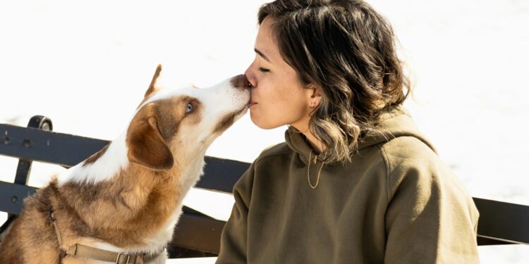 Foto: No Revisions/Unsplash