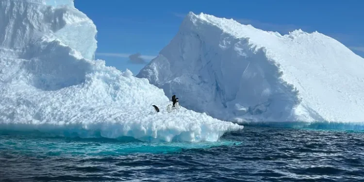 Substância perigosa começou a surgir do fundo da Antártida: poder de acelerar o fim do mundo