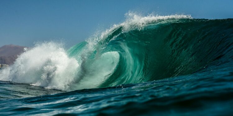 Foto: Emiliano Arano/Pexels