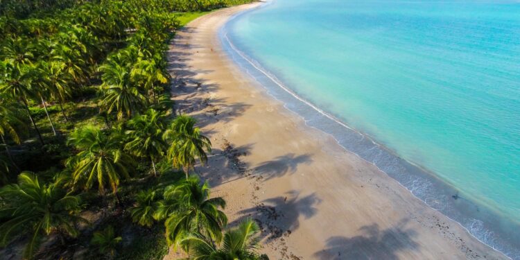 Foto: Wikimedia Commons