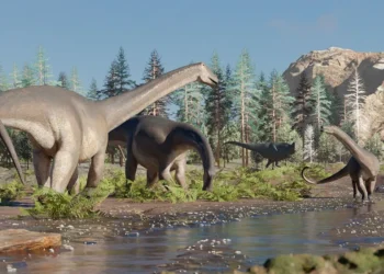Cientistas fazem descoberta histórica e revelam que "dragões" viveram entre os dinossauros