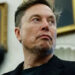 Elon Musk anunciou sua Grokipedia, uma plataforma para competir com a Wikipedia