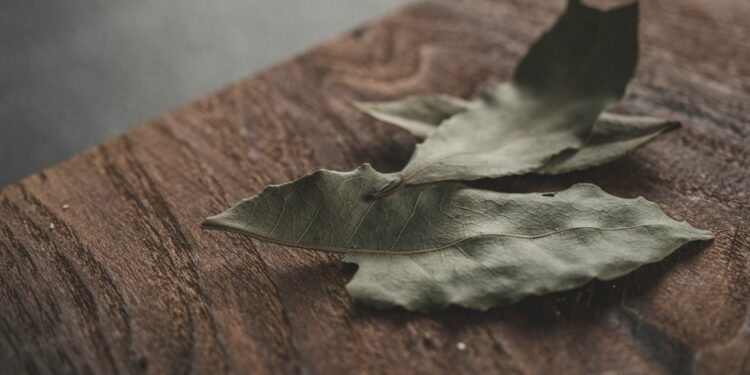 Foto: Faran Raufi/Unsplash