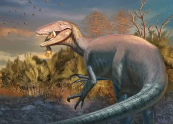 Como em Jurassic Park: encontraram um ovo de dinossauro intacto na Patagônia