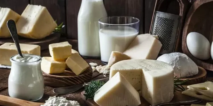 Melhor queijo do mundo demora 18 meses para ficar pronto e esfarela entre os dedos