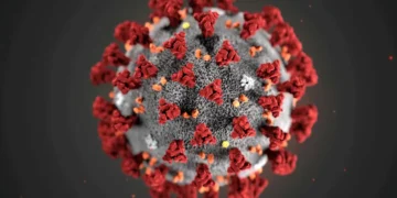 Cientistas pedem que nos preparemos para uma nova onda de doenças no Brasil