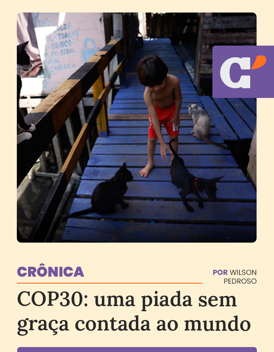 Capa edição