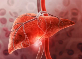 Todos deveriam fazer isso: especialistas revelam truque natural para "limpar" a gordura do fígado