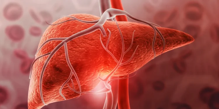 Todos deveriam fazer isso: especialistas revelam truque natural para "limpar" a gordura do fígado