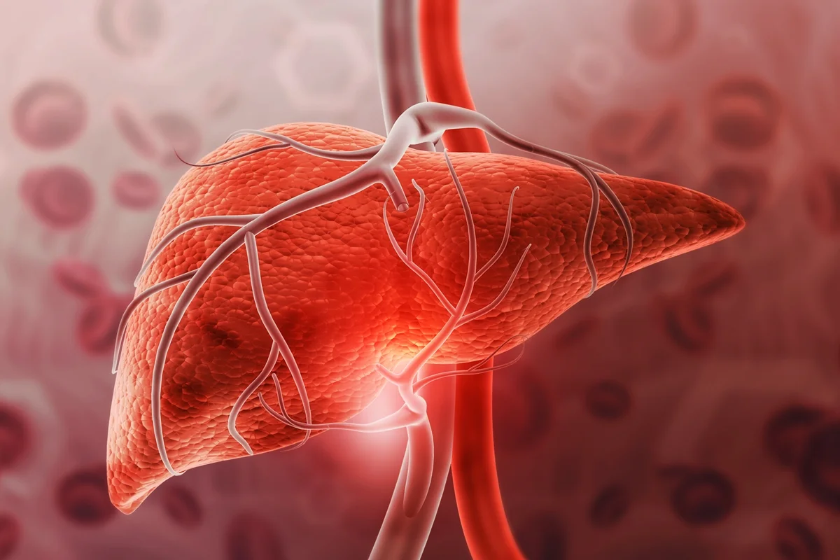 Todos deveriam fazer isso: especialistas revelam truque natural para “limpar” a gordura no fígado