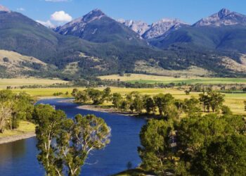 A falha bizarra que criou a "Zona da Morte", o único lugar onde crimes são permitidos