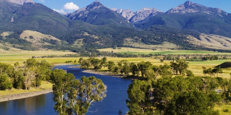 A falha bizarra que criou a "Zona da Morte", o único lugar onde crimes são permitidos