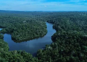 Novo parque em São Paulo conta com mais de 200 espécies de animais e será aberto para visitação já em 2026