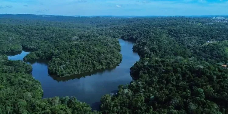 Novo parque em São Paulo conta com mais de 200 espécies de animais e será aberto para visitação já em 2026