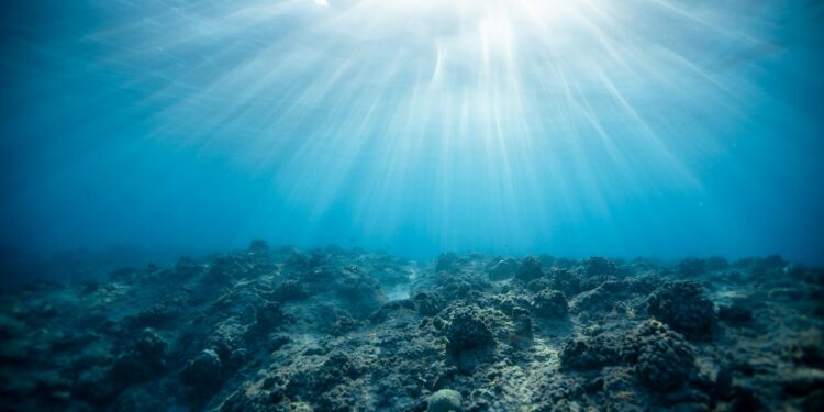 Foto: Jeremy Bishop/Pexels