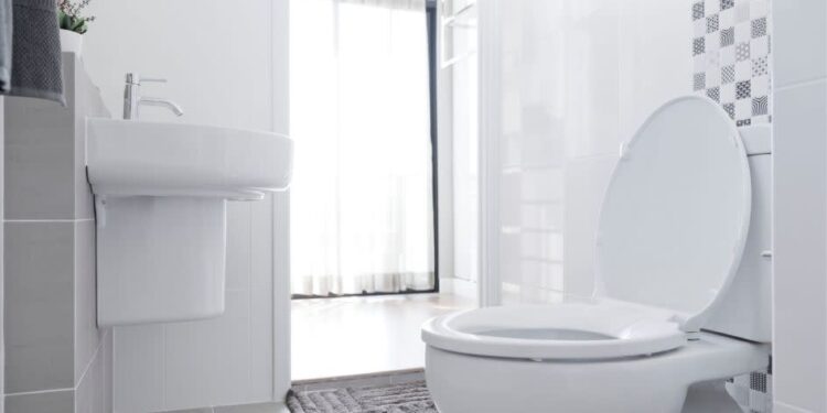 Despeje esta mistura de dois ingredientes da cozinha e veja seu vaso sanitário brilhar como se fosse novo