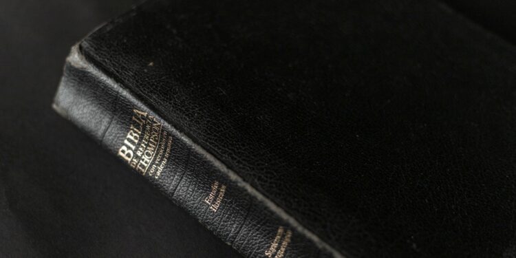 Foto: Luis Quintero/Pexels