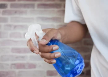 Não é para espantar mosquitos: por que borrifar água com limão nos batentes das janelas