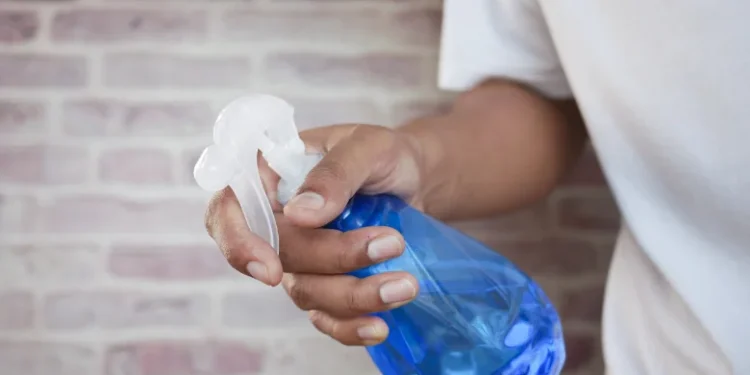 Não é para espantar mosquitos: por que borrifar água com limão nos batentes das janelas