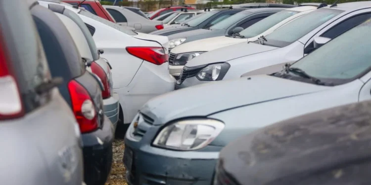 Detran inicia megaoperação em SP e recolhe carros que não cumprirem exigência obrigatória