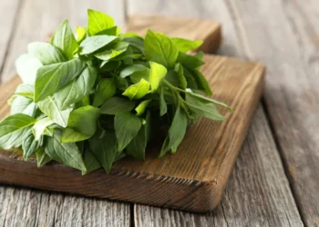 Bater manjericão na água: para que serve e por que recomendam fazer isso