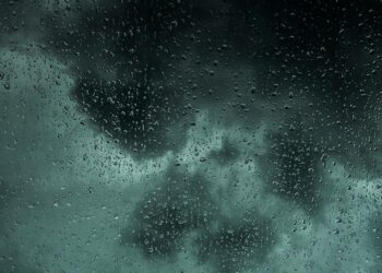 Foto: Valentin Müller/Unsplash