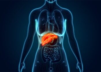 Comece imediatamente a adotar isso na sua rotina: seu fígado vai te agradecer