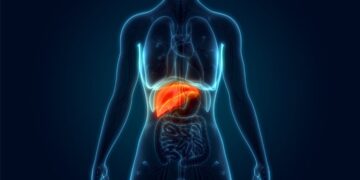 Comece imediatamente a adotar isso na sua rotina: seu fígado vai te agradecer