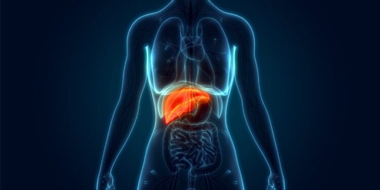 Comece imediatamente a adotar isso na sua rotina: seu fígado vai te agradecer