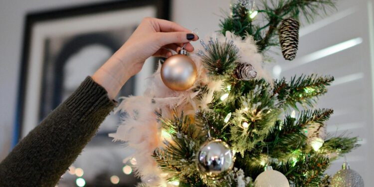 Foto: Element5 Digital/Pexels