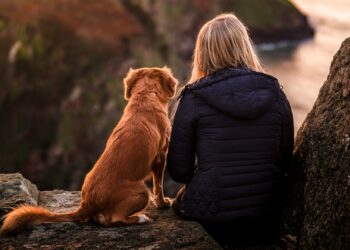 pets