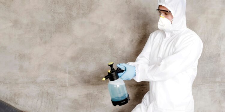 dedetizador de inseto