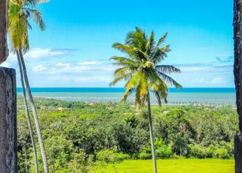 Foto: Divulgação/Praia do Forte