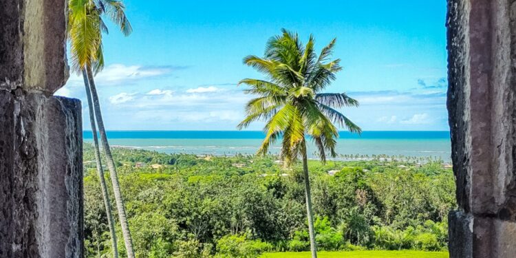 Foto: Divulgação/Praia do Forte