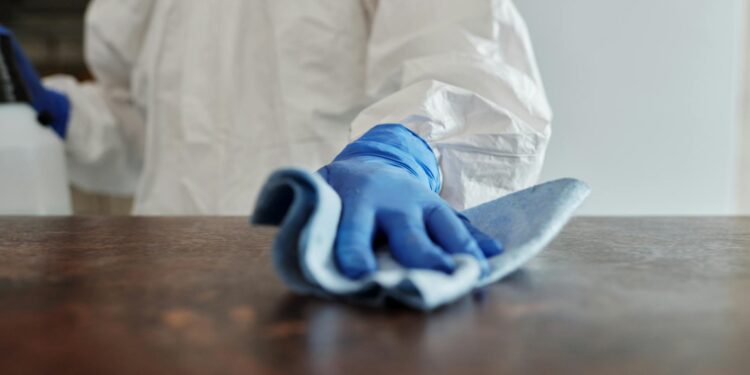 Foto: Matilda Wormwood/Pexels