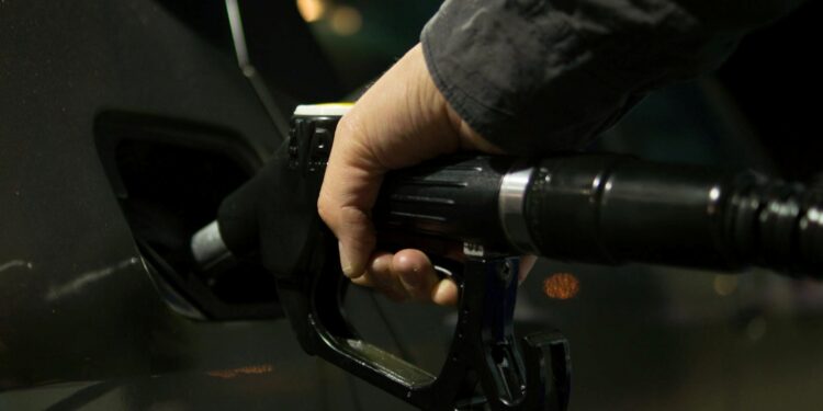 Foto: ClickerHappy/Pexels