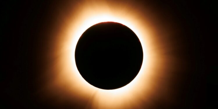 Foto: Robert Anderson/Unsplash